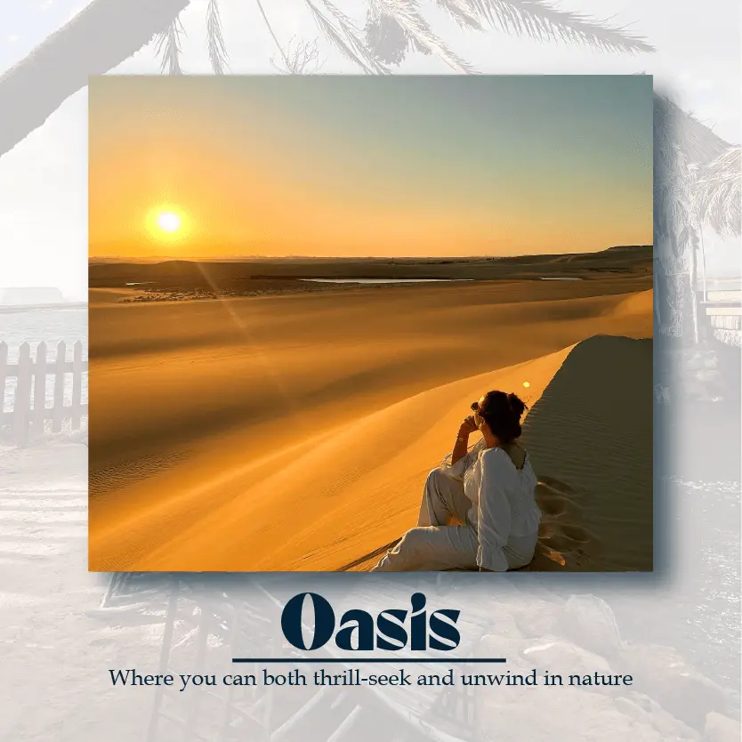 ../../../../../assets/images/destination/oasis.webp